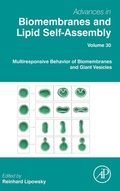 Cover: Multiresponsive Behavior of Biomembranes and Giant Vesicles: Volume 30 - Academic Press