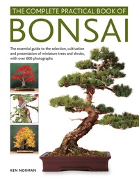 Enlarge image Cover: Bonsai, Complete Practical Book of - Lorenz Books