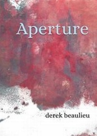 Enlarge image Cover: Aperture - Penteract Press