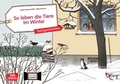 Cover: So leben die Tiere im Winter. Kamishibai Bildkartenset. - Don Bosco Medien
