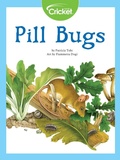 Cover: Pill Bugs - Cricket Media