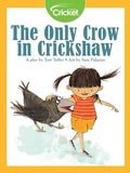 Cover: Only Crow in Crickshaw - Cricket Media
