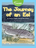 Cover: Journey of an Eel - Cricket Media