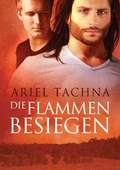 Cover: Die Flammen besiegen - Dreamspinner Press