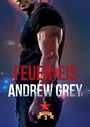Cover: Feuer und Eis - Dreamspinner Press