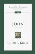 Cover: John - IVP Academic
