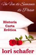 Cover: Un fin de semana de paseo - Lori Schafer