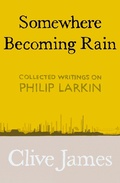 Cover: Somewhere Becoming Rain - Picador