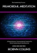 Cover: Primordial Meditation - Robyn Collins