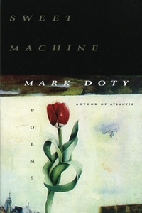Enlarge image Cover: Sweet Machine - HarperCollins