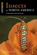 Cover: Insects of North America - Falcon Press Publishing