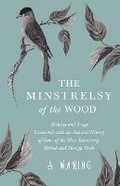 Bild: The Minstrelsy of the Wood - Sketches and Songs Connected with the Natural History of Some of the Most Interesting British and Foreign Birds - Read Books