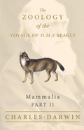 Bild: Mammalia - Part II - The Zoology of the Voyage of H.M.S Beagle - Read Books