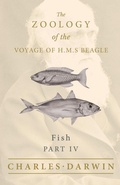 Bild: Fish - Part IV - The Zoology of the Voyage of H.M.S Beagle; Under the Command of Captain Fitzroy - During the Years 1832 to 1836 - Read Books
