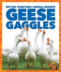 Cover: Geese Gaggles - Pogo Books