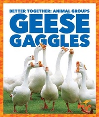 Enlarge image Cover: Geese Gaggles - Pogo Books