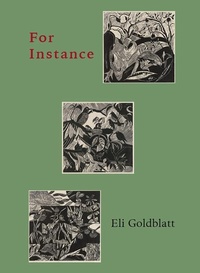 Enlarge image Cover: For Instance - Chax Press