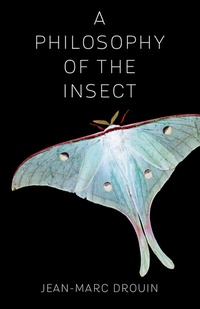 Enlarge image Cover: A Philosophy of the Insect - Columbia University Press