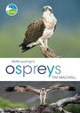 Cover: RSPB Spotlight Ospreys - Bloomsbury Wildlife