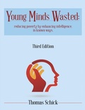 Cover: Young Minds Wasted: Reducing Poverty By Enchancing Intelligence, In Known Ways. - Lulu Publishing Services