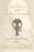 Cover: Fossil Mammalia - Part I - The Zoology of the Voyage of H.M.S Beagle - Read Books Ltd.