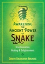 Cover: Awakening the Ancient Power of Snake - Bear & Company