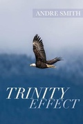 Cover: Trinity Effect - Trilogy Christian Publishing