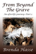 Cover: From Beyond The Grave - Brenda Hasse