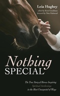 Cover: Nothing Special - Wipf & Stock Publishers