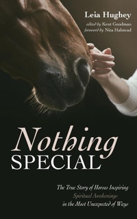Enlarge image Cover: Nothing Special - Wipf & Stock Publishers