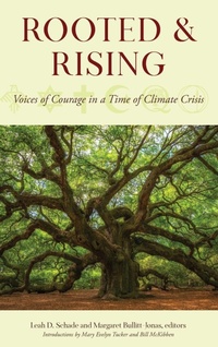 Enlarge image Cover: Rooted and Rising - Rowman & Littlefield Publishers