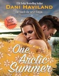 Cover: One Arctic Summer - Chill Out!