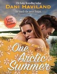 Enlarge image Cover: One Arctic Summer - Chill Out!