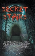 Cover: Secret Stairs - Newquist Corporation