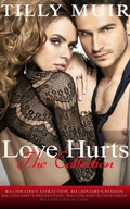 Cover: Love Hurts - The Collection - Love Hurts