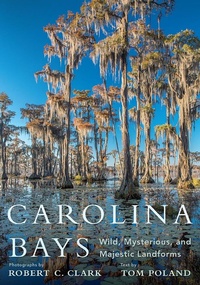 Abbildung von: Carolina Bays - University of South Carolina Press