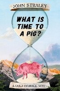 Enlarge image Cover: What Is Time to a Pig? - Soho Press