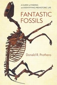 Enlarge image Cover: Fantastic Fossils - Columbia University Press