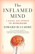 Cover: The Inflamed Mind - Picador USA