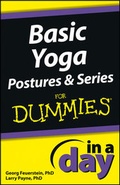 Cover: Basic Yoga Postures and Series In A Day For Dummies - Wiley
