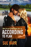 Cover: According to Plan - Sue Barr
