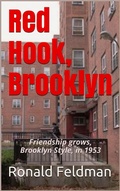 Cover: Red Hook, Brooklyn - Gemini Book Publishers