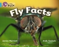 Enlarge image Cover: Fly Facts - Collins