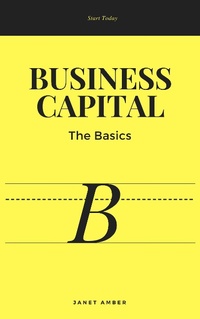 Enlarge image Cover: Business Capital: The Basics - Personal Growth
