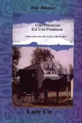 Cover: Une Promesse est Une Promesse (Infirmiere Hal Parmi Les Series Amish, #1) - Booksbyfay Publisher