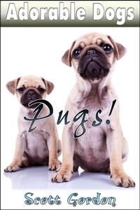 Enlarge image Cover: Adorable Dogs: Pugs - Adorable Dogs