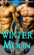 Cover: A Winter Moon - Gay Paranormal Romance - American Gay Romance Club