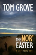 Cover: The Nor'easter (Shaun Young, #2) - The Whole Gamut Publishing