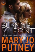 Cover: The Burning Point (Circle of Friends, #1) - Pandamax Press