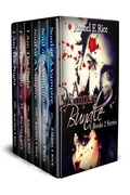 Cover: A Vampire Bundle - Rachel E Rice
